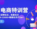 美团电商特训营:美团·店群玩法,无脑铺货月产出6000-15000+精细化月产2w+-水滴知识网