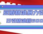 豆瓣精准暴力引流,日引精准粉500+【12课时】-水滴知识网