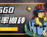 外面9800的CSGO汇率搬砖项目,一个月轻松赚几千【选品软件+详细教程】-水滴知识网