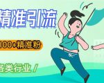 soul精准引流系列课程，一天引流100+精准粉，适合各类行业-水滴知识网