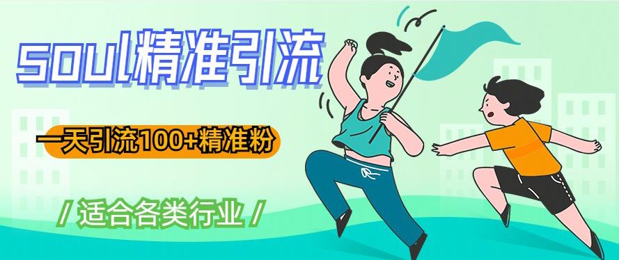 soul精准引流系列课程,一天引流100+精准粉,适合各类行业-水滴知识网