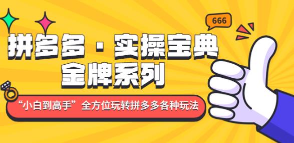拼多多·实操宝典：金牌系列“小白到高手”带你全方位玩转拼多多各种玩法-水滴知识网