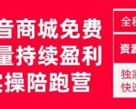 抖音商城搜索持续盈利陪跑成长营,抖音商城搜索从0-1、从1到10的全面解决方案-水滴知识网