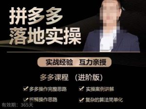 拼多多实战篇·落地实操:多多操作完整思路+实操案例讲解+拆解操作思路+复杂的算法简单化-水滴知识网