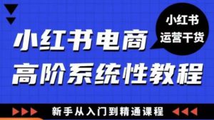 小红书电商高阶系统教程,新手从入门到精通系统课-水滴知识网