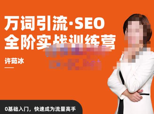 许茹冰·万词引流-SEO全阶实战训练营,0基础入门,快速成为流量高手-水滴知识网
