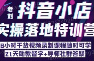 抖音小店实操落地特训营:抖音小店无货源精细化运营,抖店商品卡流量(22节)-水滴知识网