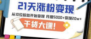 21天精准涨粉变现干货大课:从10位粉丝开始变现月增5000+变现20w+-水滴知识网