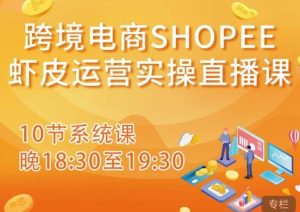 跨境电商Shopee虾皮运营实操直播课,从零开始学,入门到精通(10节系统课)-水滴知识网