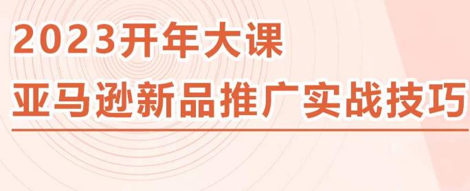 2023亚马逊新品推广实战技巧，线下百万美金课程的精简版，简单粗暴可复制，实操性强的推广手段-水滴知识网