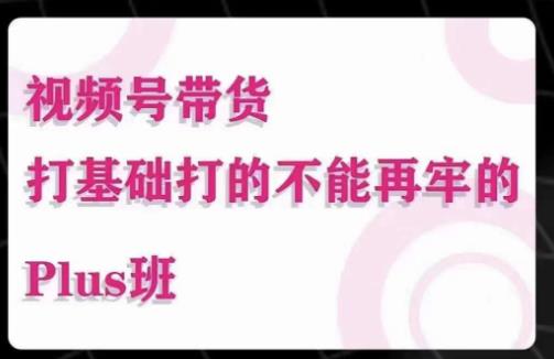 大播汇·视频号带货Puls班，视频号底层逻辑，起号自然流鱼塘等玩法-水滴知识网