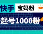 抖音快手三天起号涨粉1000宝妈粉丝的核心方法【详细玩法教程】-水滴知识网