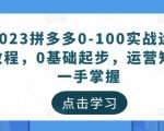 2023拼多多0-100实战运营教程，0基础起步，运营知识一手掌握-水滴知识网