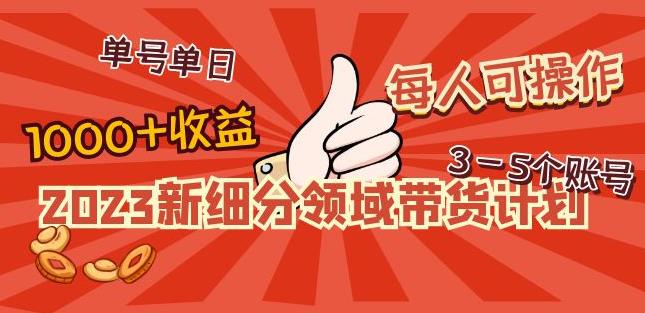 2023新细分领域带货计划:单号单日1000+收益不难,每人可操作3-5个账号-水滴知识网