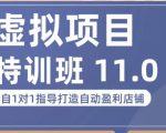 陆明明·虚拟项目特训班(10.0+11.0),0成本获取虚拟素材,0基础打造自动盈利店铺-水滴知识网