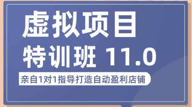 陆明明·虚拟项目特训班(10.0+11.0),0成本获取虚拟素材,0基础打造自动盈利店铺-水滴知识网