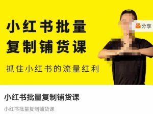 张宾·小红书批量复制铺货课,抓住小红书的流量红利 (更新2023年2月)-水滴知识网