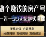 刘广标·同城房产号线上陪跑课,拍摄、剪辑、写文案、直播,做一个具有潜力价值的房产号-水滴知识网