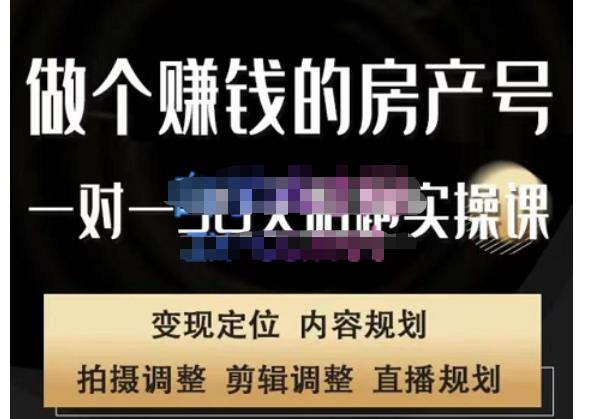 刘广标·同城房产号线上陪跑课,拍摄、剪辑、写文案、直播,做一个具有潜力价值的房产号-水滴知识网