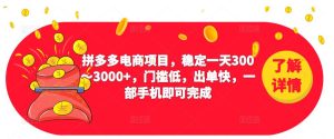 2023拼多多电商项目,稳定一天300~3000+,门槛低,出单快,一部手机即可完成-水滴知识网