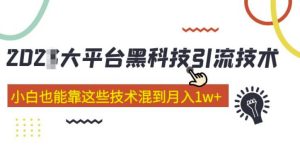 大平台黑科技引流技术，小白也能靠这些技术混到月入1w+(2022年的课程）-水滴知识网