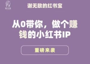 谢无敌·小红书运营大宝典,从0带你做个赚钱的小红书IP-水滴知识网