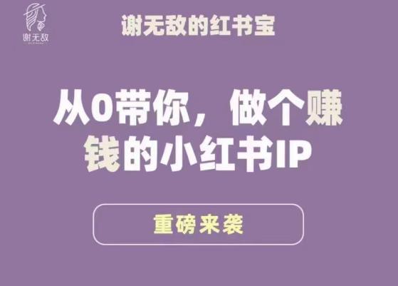 谢无敌·小红书运营大宝典,从0带你做个赚钱的小红书IP-水滴知识网