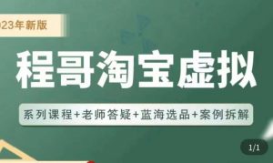 程哥·2023淘宝蓝海虚拟电商,虚拟产品实操运营,蓝海选品+案例拆解-水滴知识网
