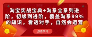 淘宝实战宝典+淘系全系列进阶,初级到进阶,覆盖淘系99%的知识,看透对手,自然会运营-水滴知识网