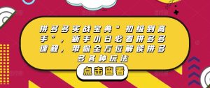 拼多多实战宝典“初级到高手”,新手小白必看拼多多课程,带你全方位解读拼多多各种玩法-水滴知识网