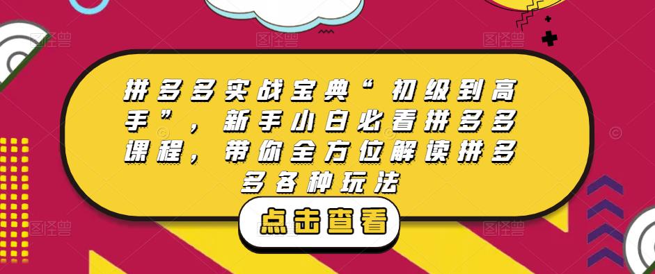 拼多多实战宝典“初级到高手”,新手小白必看拼多多课程,带你全方位解读拼多多各种玩法-水滴知识网