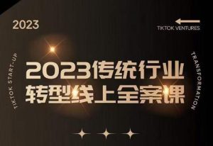 数据哥2023传统行业转型线上全案课，2023年传统行业如何转型线上，线上创业/传统转型避坑宝典-水滴知识网