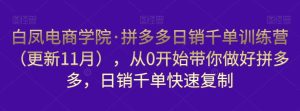 白凤电商学院·拼多多日销千单训练营,从0开始带你做好拼多多,日销千单快速复制(更新知2023年3月)-水滴知识网