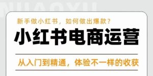 红商学院·小红书电商运营课,新手做小红书如何快速做出爆款,从入门到精通,体验不一样的收货-水滴知识网