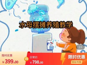 水母摆摊教学，包括摆摊技术、养殖技术、拿货渠道、抖音运营等-水滴知识网