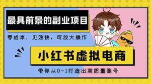 小红书蓝海大市场虚拟电商项目,手把手带你打造出日赚2000+高质量红薯账号-水滴知识网