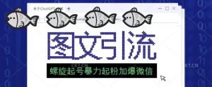2023年价值1980的图文引流创业粉螺旋起好技术暴力起粉加爆微信-水滴知识网