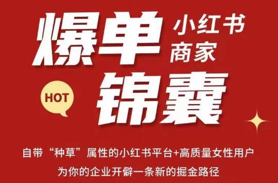 无畏·小红书商家爆单锦囊,掌握小红书各大规则,快速精准抢占行业和市场-水滴知识网