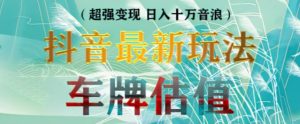 抖音最新无人直播变现直播车牌估值玩法项目，轻松日赚几百+【详细玩法教程】-水滴知识网