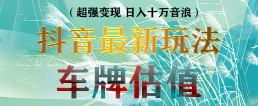 抖音最新无人直播变现直播车牌估值玩法项目，轻松日赚几百+【详细玩法教程】-水滴知识网