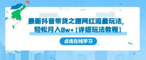 最新抖音带货之蹭网红流量玩法，轻松月入8w+【详细玩法教程】-水滴知识网