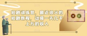 短剧训练营,最近很火的短剧教程,动辄一天几千上万的收入-水滴知识网