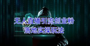 外面收费3980的无人直播引流创业粉落地实操玩法,单日引100+精准创业粉-水滴知识网