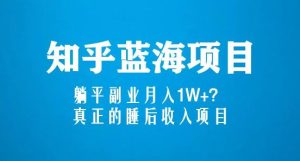 知乎蓝海玩法，躺平副业月入1W+，真正的睡后收入项目（6节视频课）-水滴知识网
