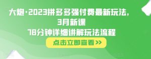 大炮·2023拼多多强付费最新玩法，3月新课​78分钟详细讲解玩法流程-水滴知识网