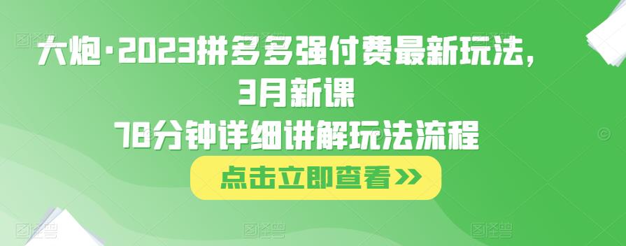 大炮·2023拼多多强付费最新玩法，3月新课​78分钟详细讲解玩法流程-水滴知识网