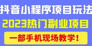 抖音小程序9.0新技巧，2023热门副业项目，动动手指轻松变现-水滴知识网