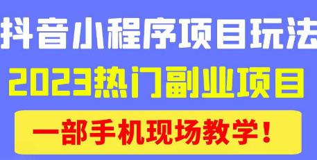 抖音小程序9.0新技巧，2023热门副业项目，动动手指轻松变现-水滴知识网
