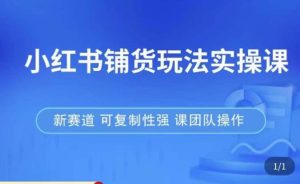 小红书铺货玩法实操课,流量大,竞争小,非常好做,新赛道,可复制性强,可团队操作-水滴知识网
