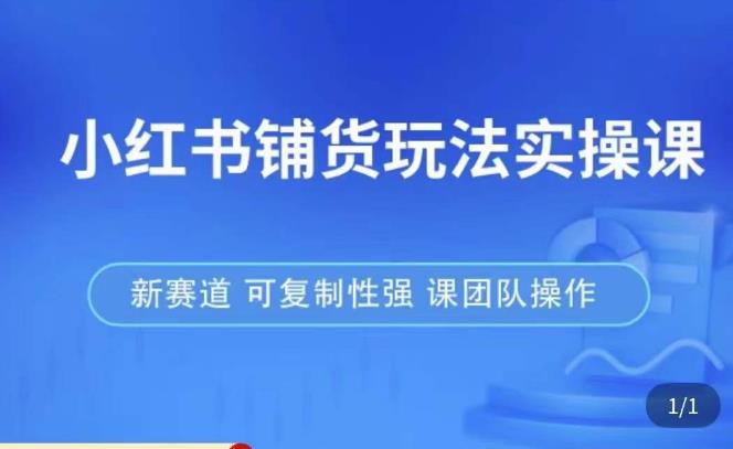 小红书铺货玩法实操课,流量大,竞争小,非常好做,新赛道,可复制性强,可团队操作-水滴知识网
